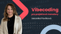 Vibecoding PMI Verča