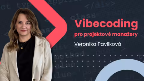 Vibecoding PMI Verča